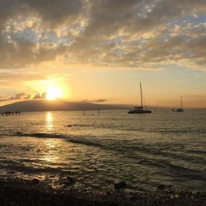 Meet your Posher, Anne